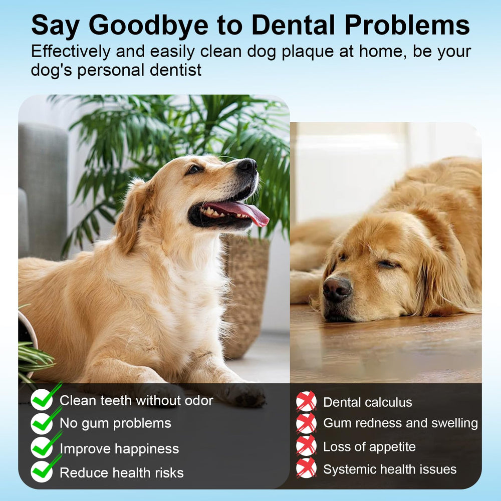 YunLuna durable pet dental tool kit, for at-home care.