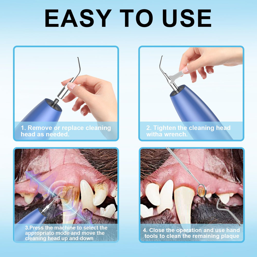 YunLuna plaque remover at home, demonstrates potential savings on professional cleanings.