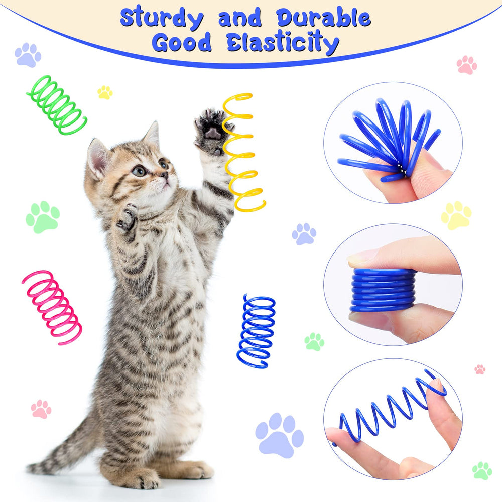 Kitten chases a colorful spring toy during playtime for exercise