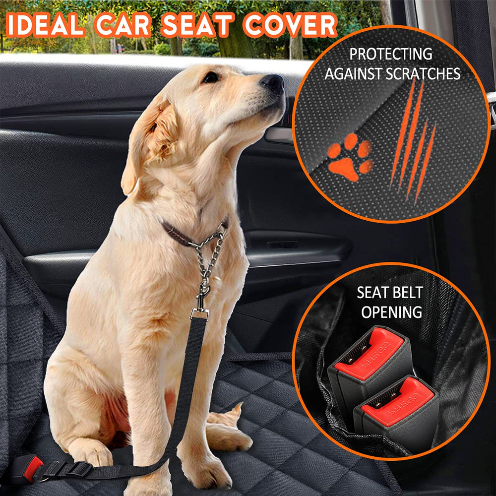 Yuntec included pet seat belts add rear-seat safety for pets.