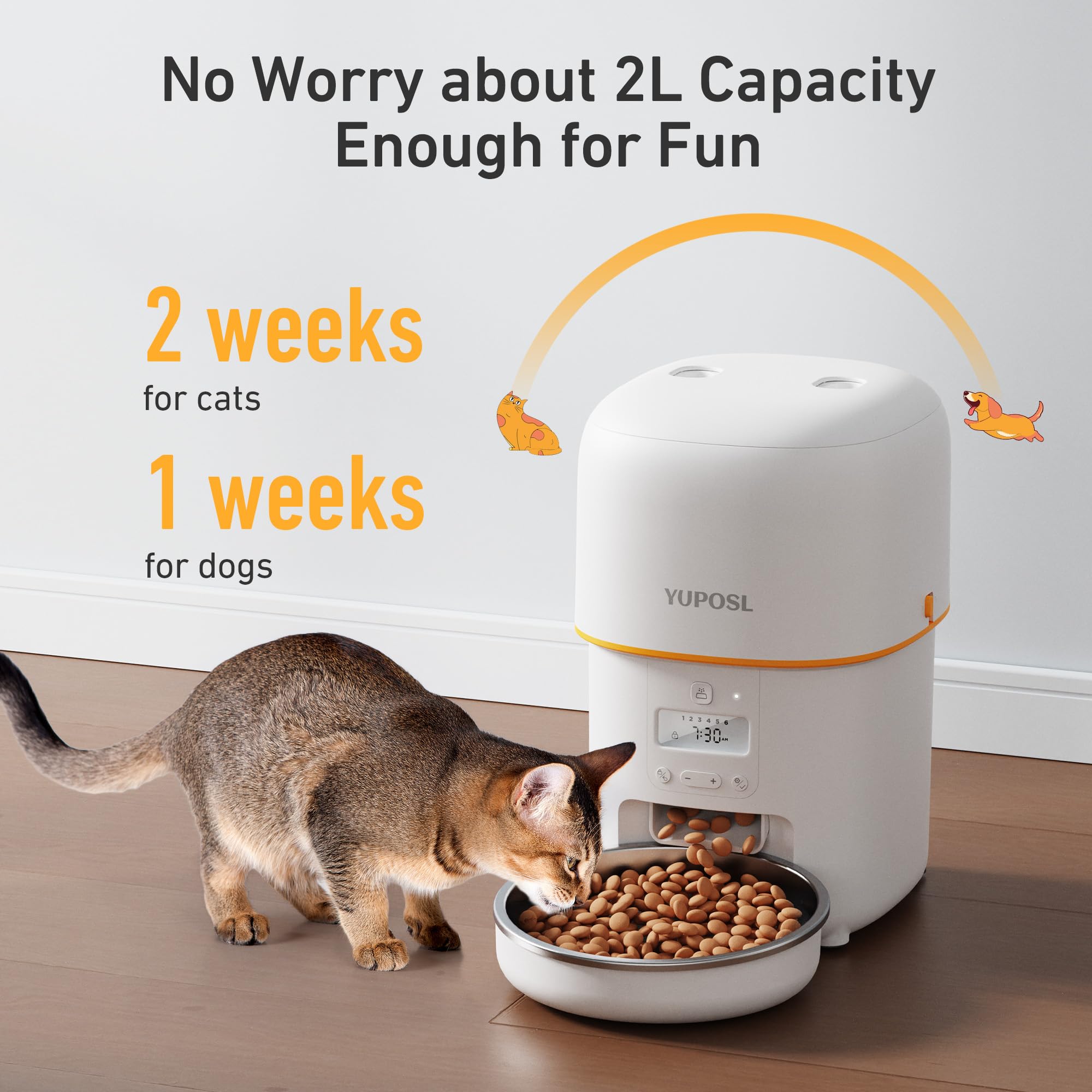 Yuposl cat and dog compatible feeder suitable for mixed households.