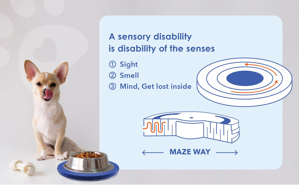 Yuwoda Ant Away Tray under dog bowl for mess-free mealtime