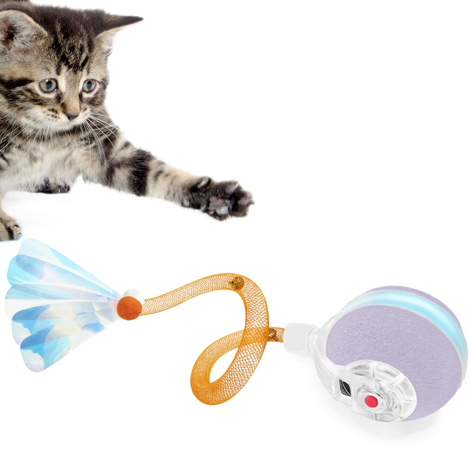 YVE LIFE purple interactive cat ball front view inviting exploration