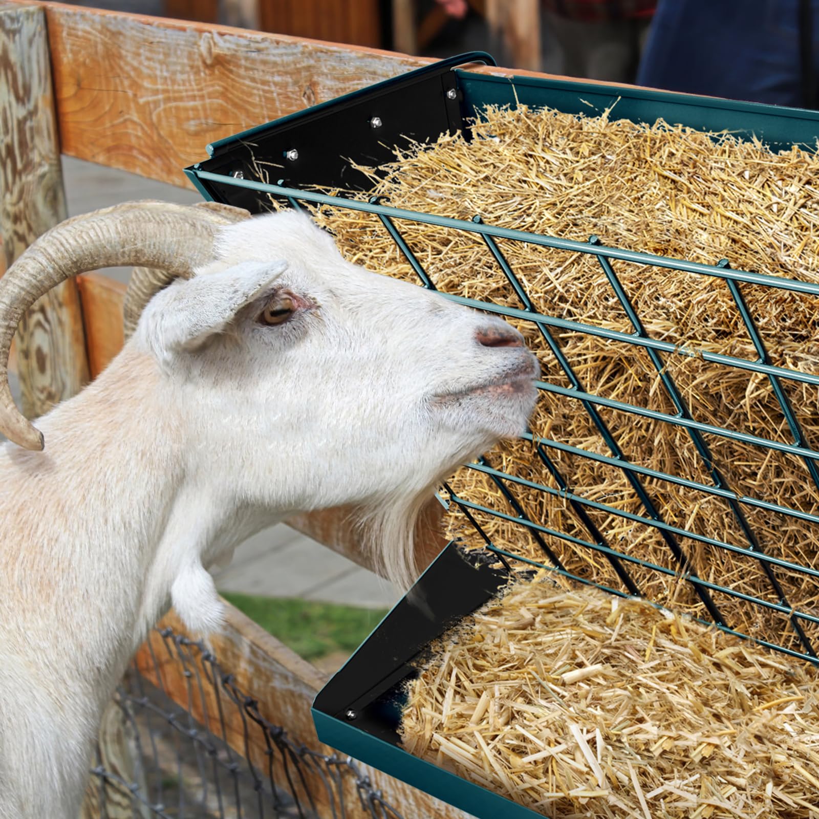 YXJSTO goats sheep and horses feeding at a wall mount rack
