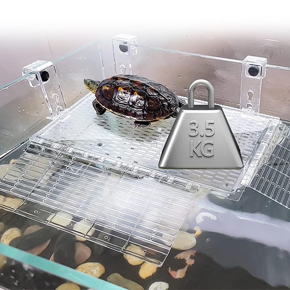 YXQ Transparent Design enables observation while keeping debris separate from water.