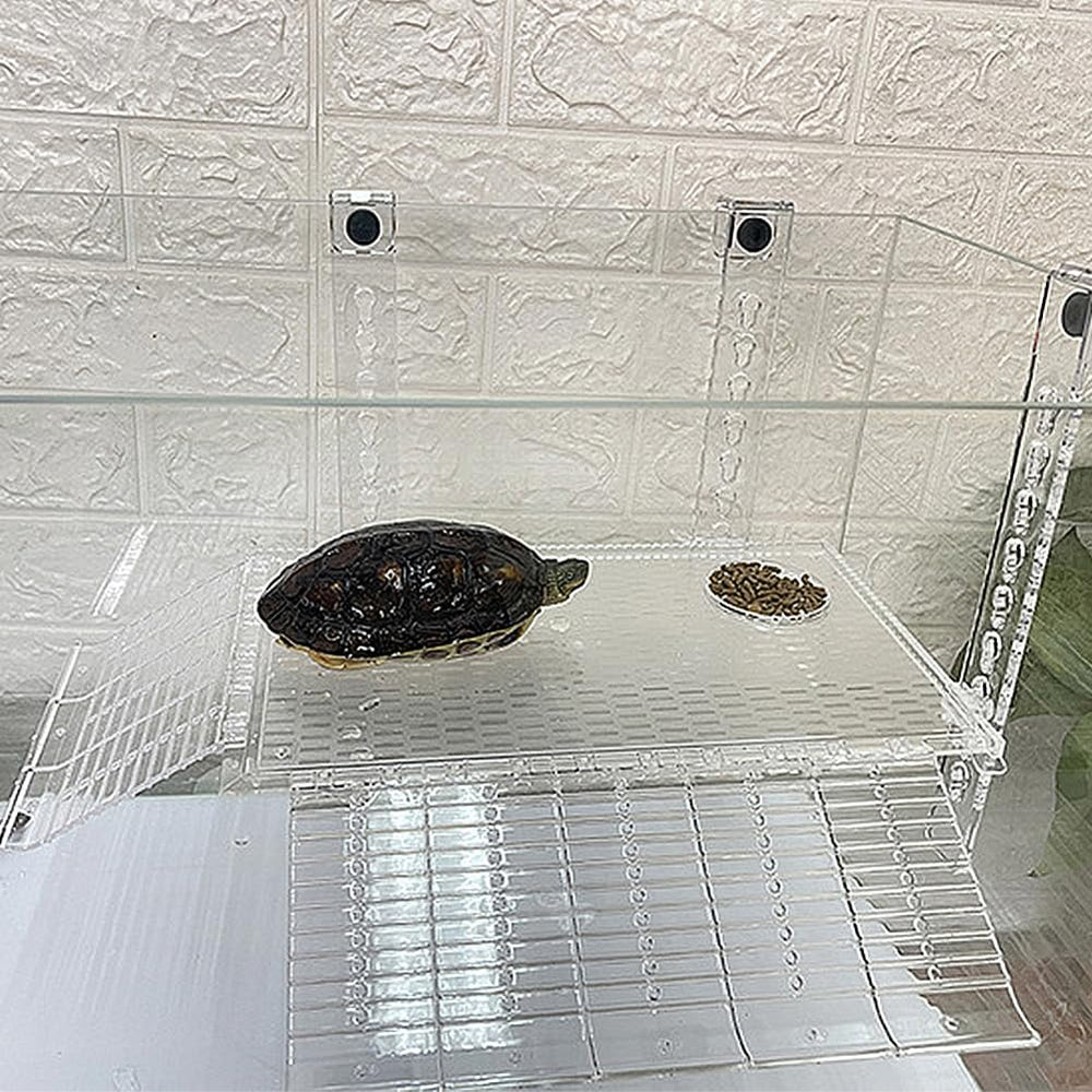 YXQ Wide Tank Compatibility fits tortoises, lizards, frogs, and more.