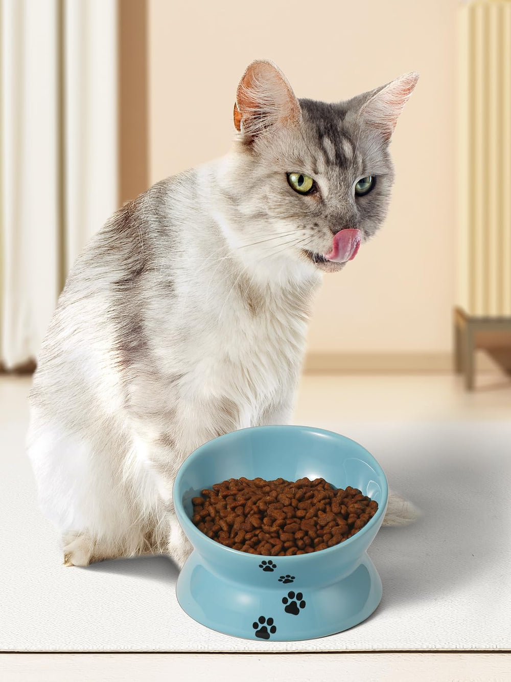YYHY backflow-prevention bowl design aiding contained meals