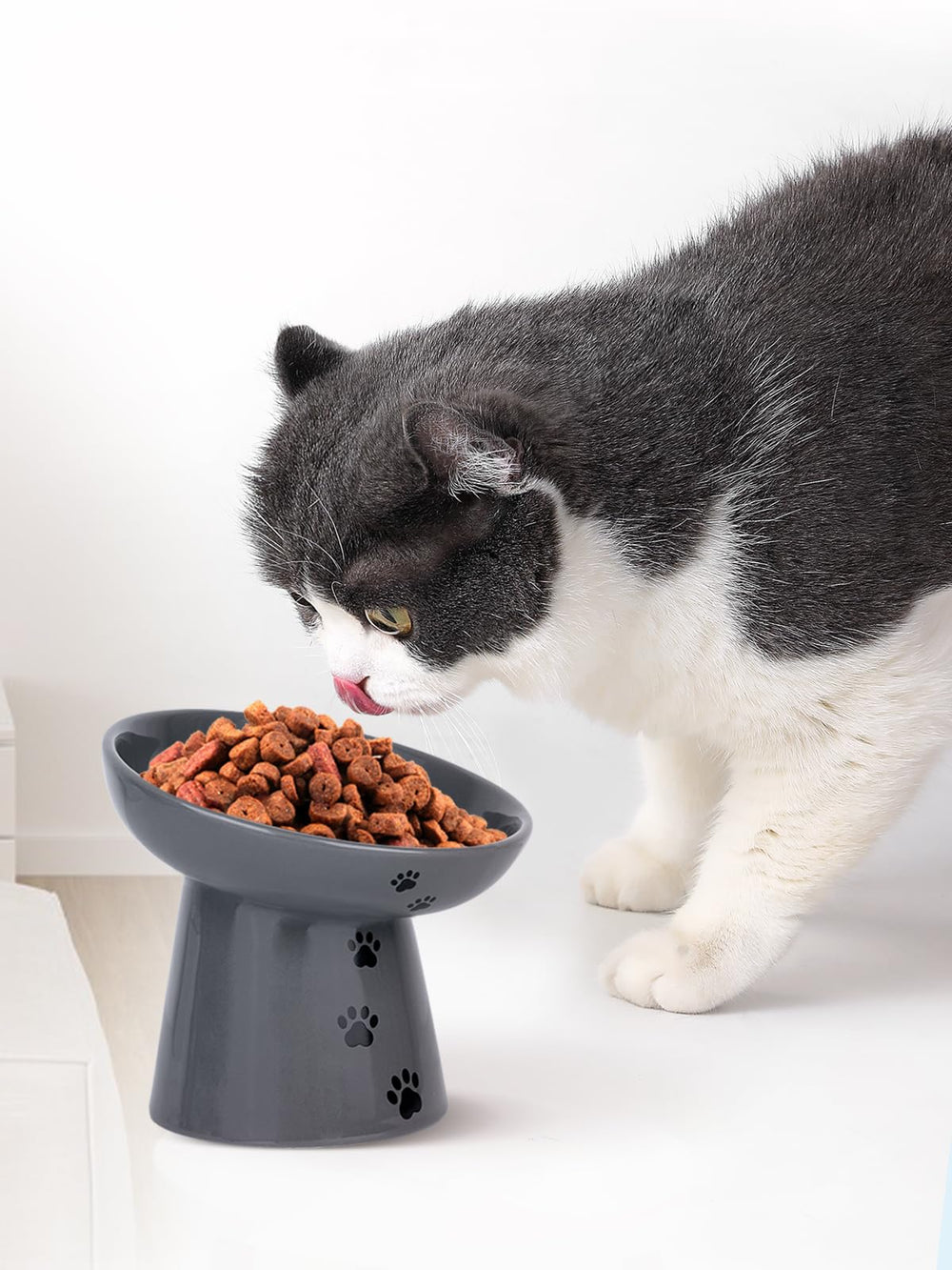 Y YHY bowl works with both dry and wet foods for flexible feeding