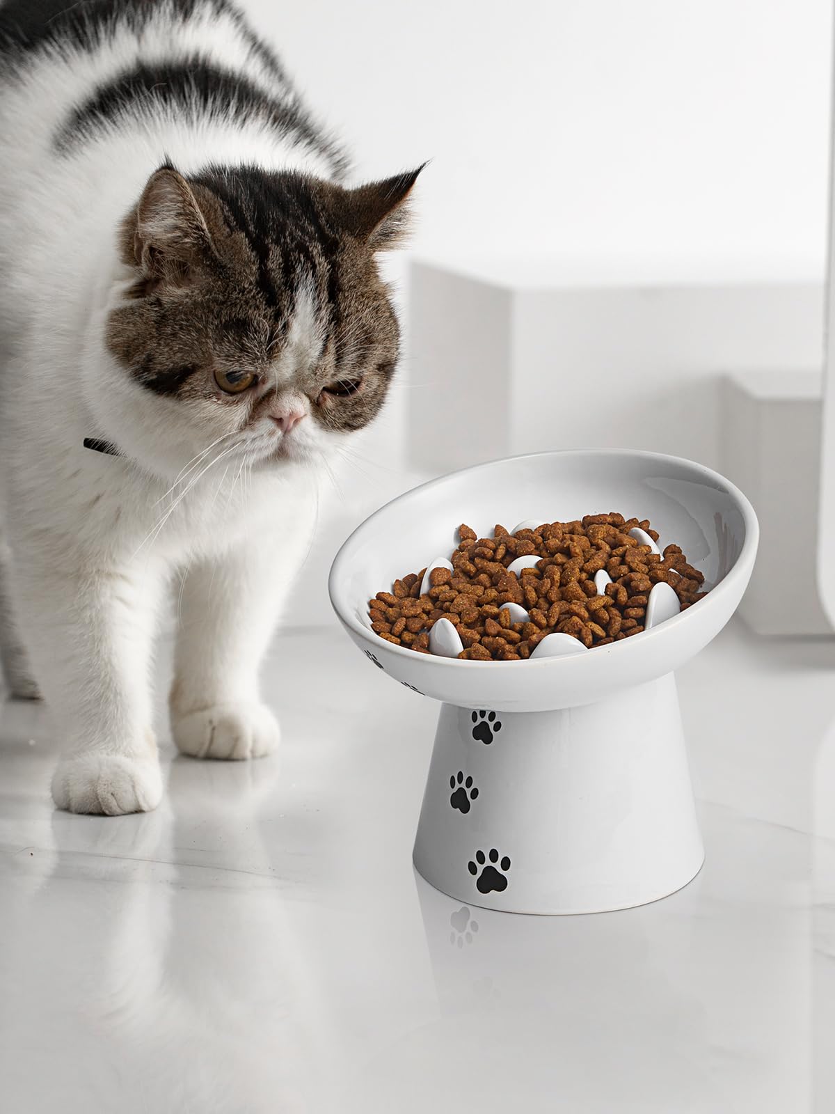 YYHY compatible with dry and wet food, versatile feeding option.