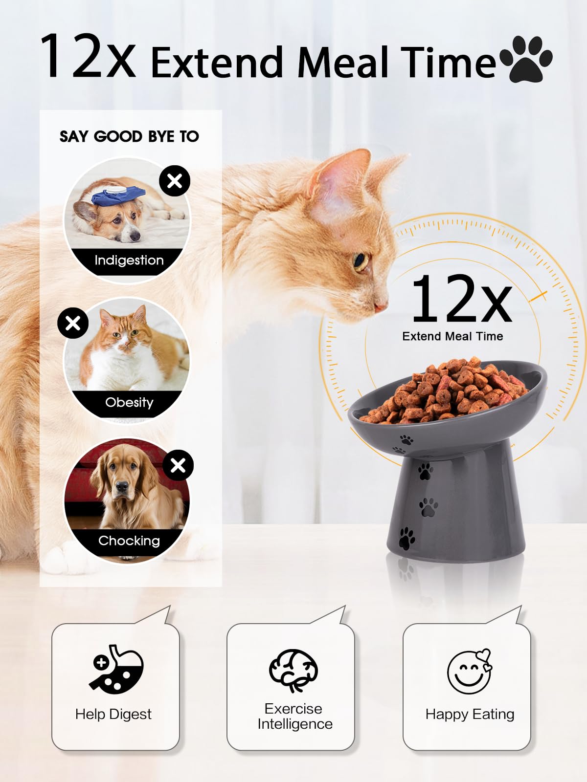 Y YHY elevated cat bowl six-inch height supports natural posture