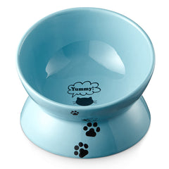 YYHY elevated cat bowl in lake blue showing front view to highlight height and stance