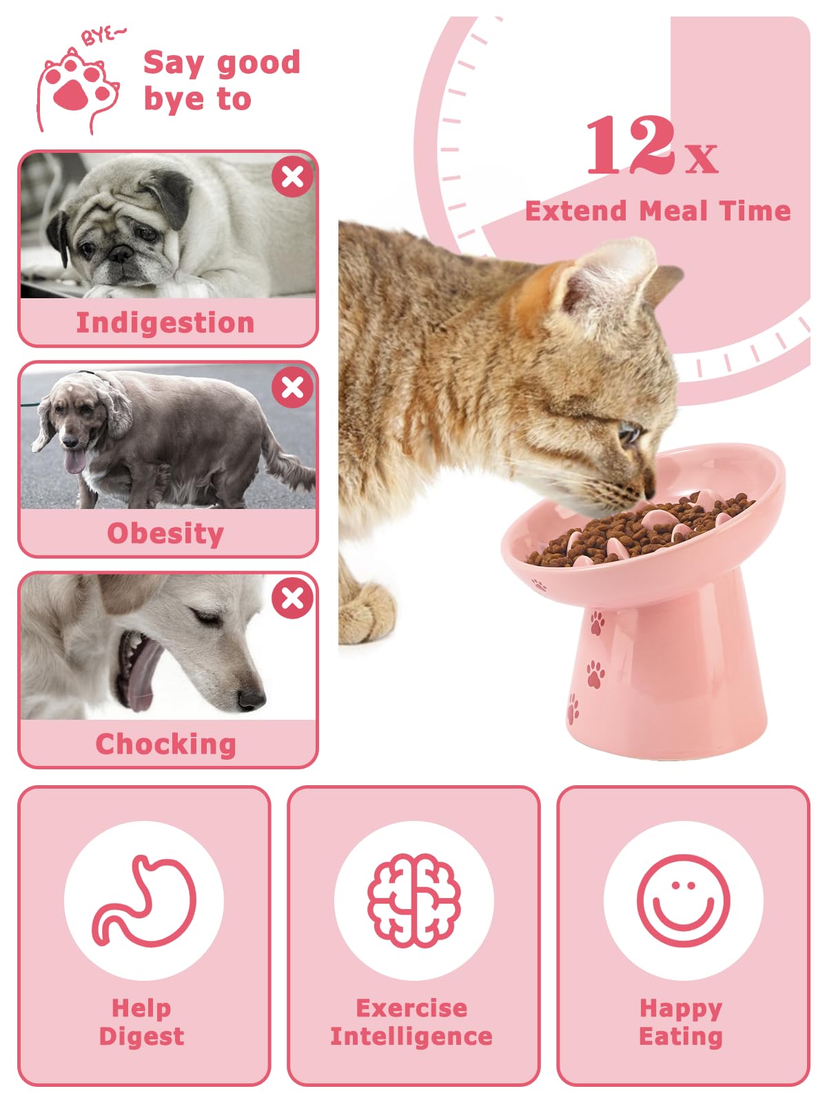 Y YHY elevated ceramic bowl for cats and dogs supports better posture.