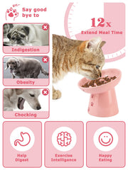 Y YHY elevated ceramic bowl for cats and dogs supports better posture.