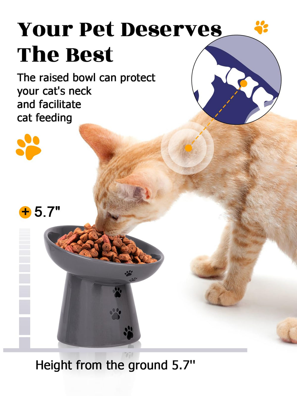 Y YHY shallow cat bowl minimizes whisker interference and spills