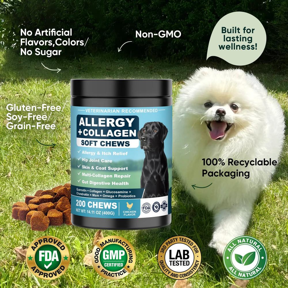 YYTKMY Dog Allergy Chews ingredients panel highlights multi-ingredient formula for balanced support