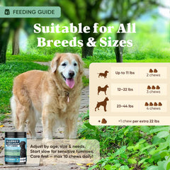 YYTKMY Dog Allergy Chews soft chews closeup showcases texture and ingredients