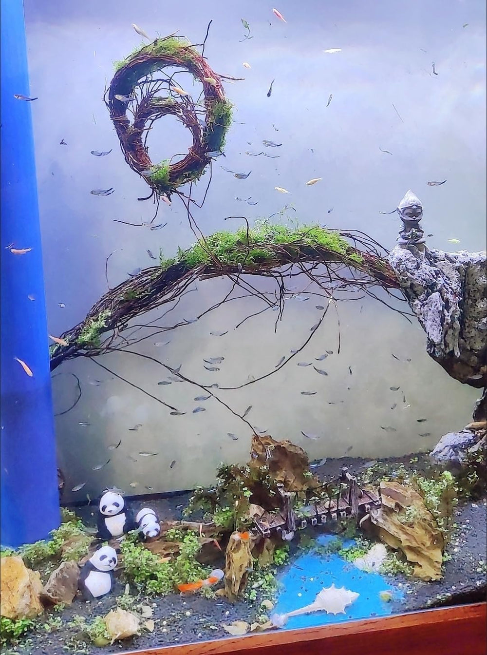 YZHZOM driftwood roots provide shelter for fry and shrimp.