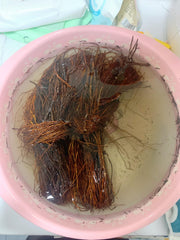 YZHZOM driftwood roots in-tank setup enhances natural aquarium appearance.