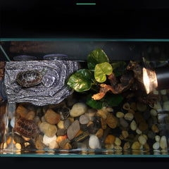 YZHZOM floating dock in turtle tank with natural rock look