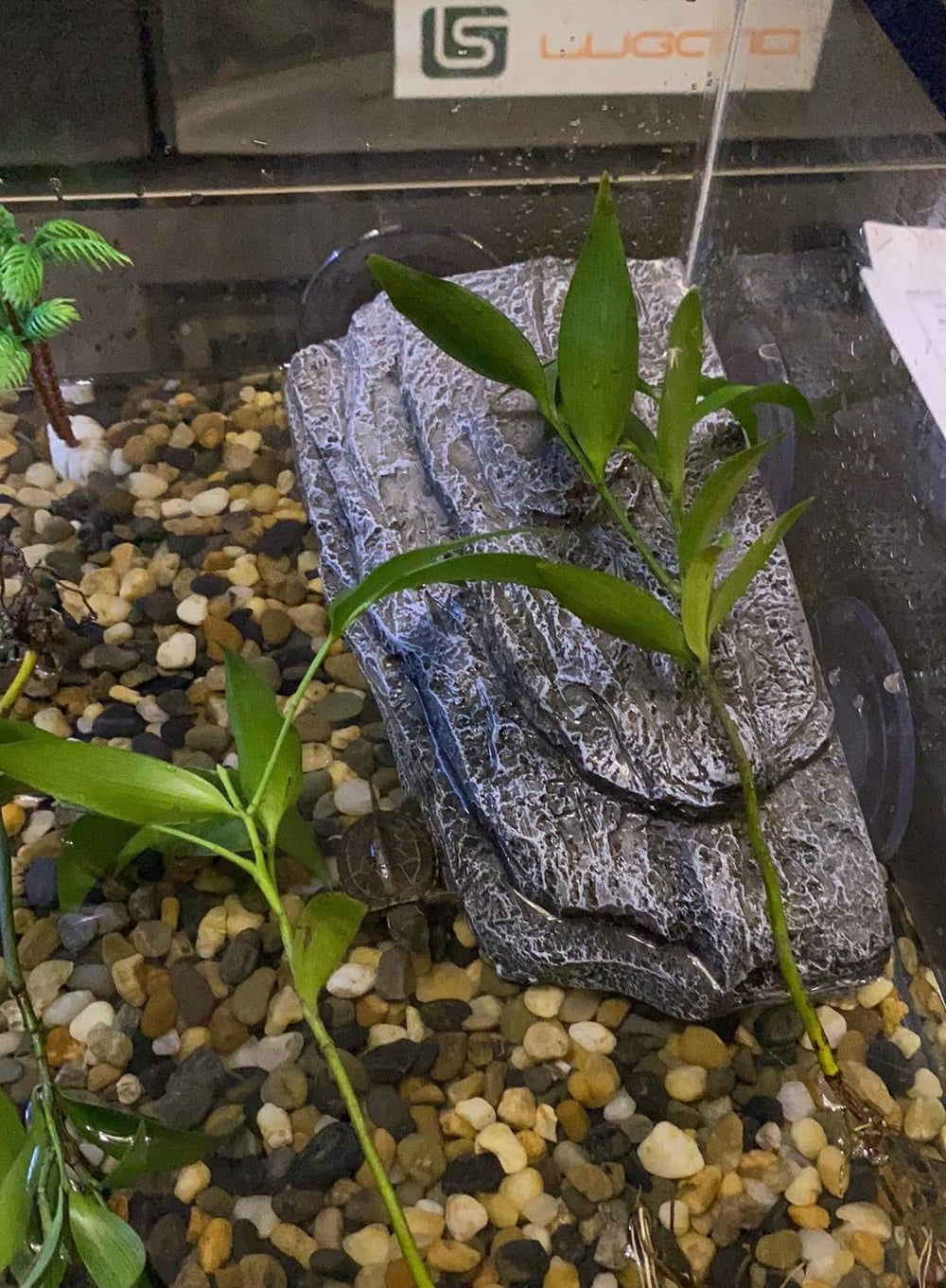 YZHZOM resin resting platform made from non-toxic material for aquatic habitats