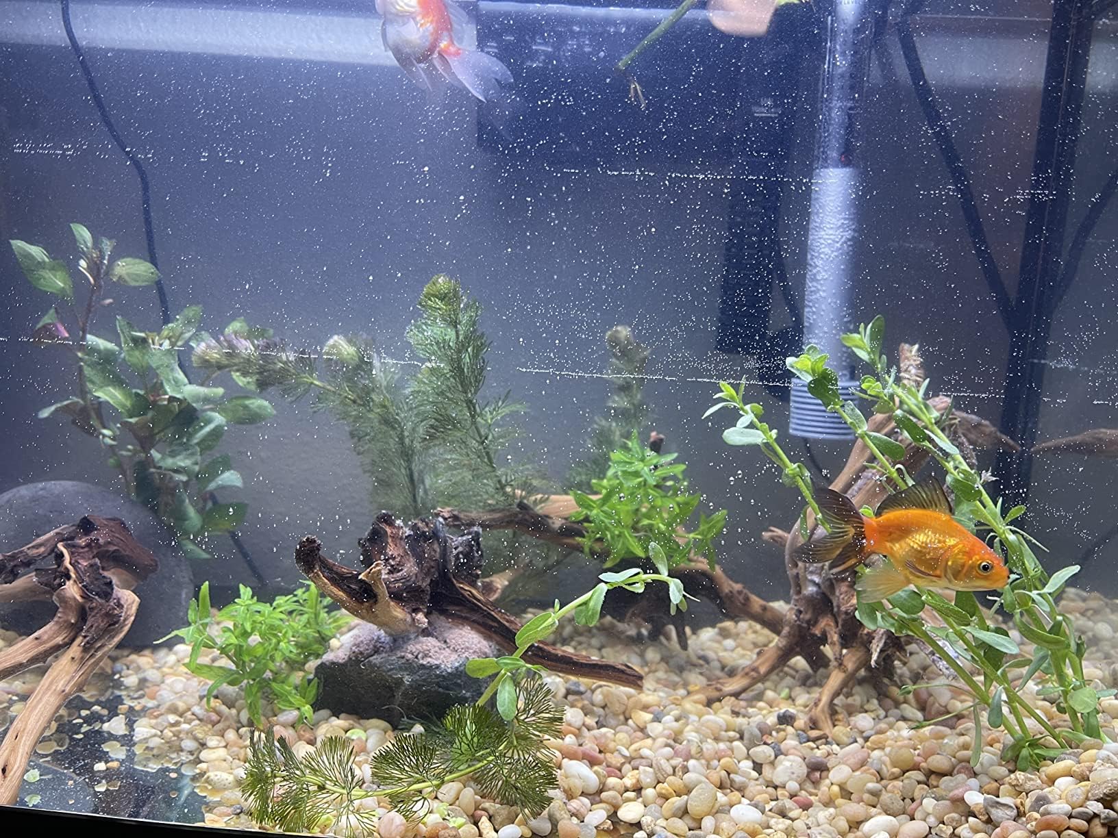 YZHZOM spiderwood aquarium plants combo blends wood with greenery