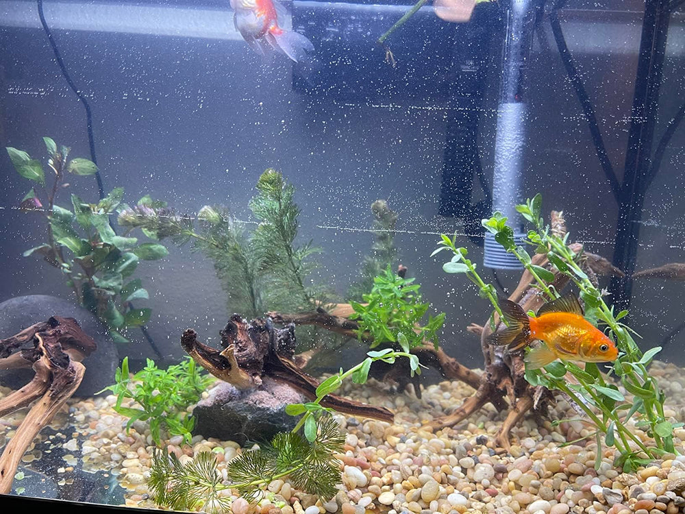 YZHZOM spiderwood aquarium plants combo blends wood with greenery