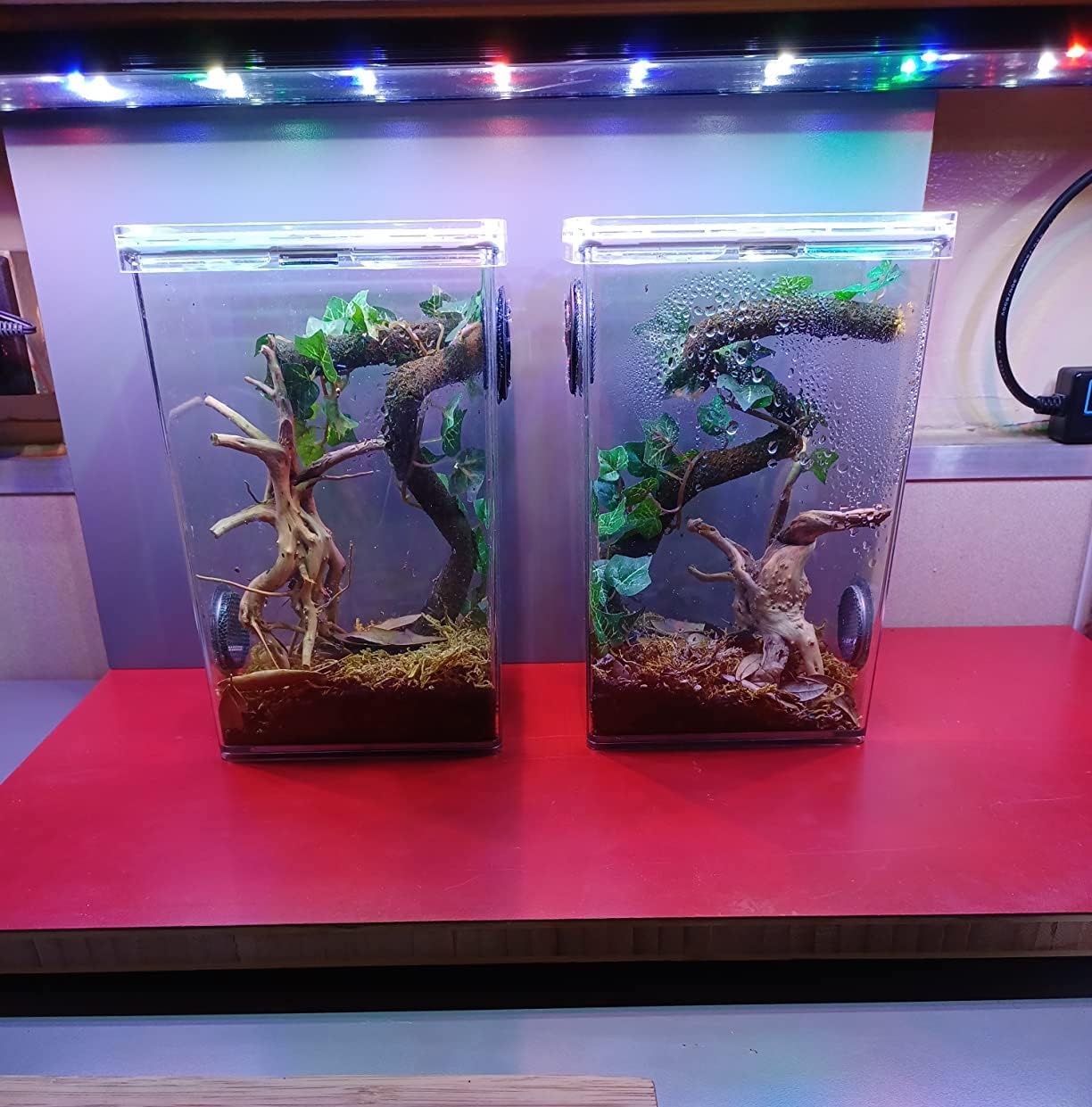 YZHZOM spiderwood garden tabletop decoration with gravel and plants