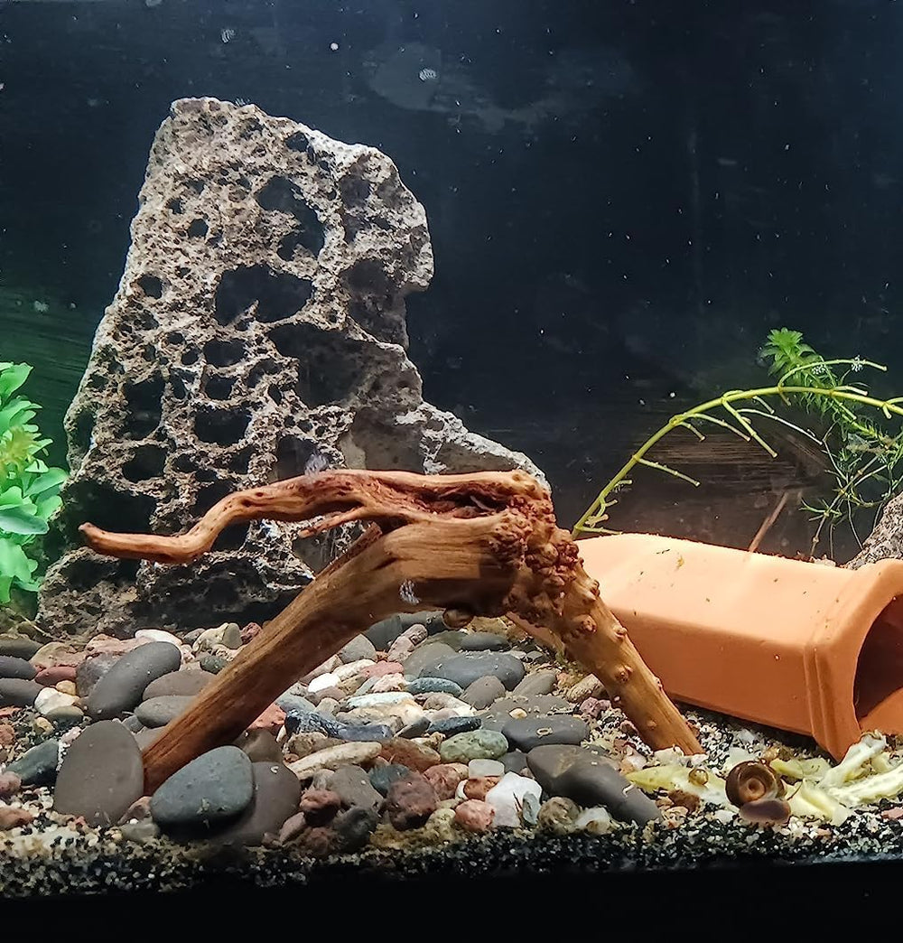 YZHZOM spiderwood unique shapes adds natural texture to aquariums