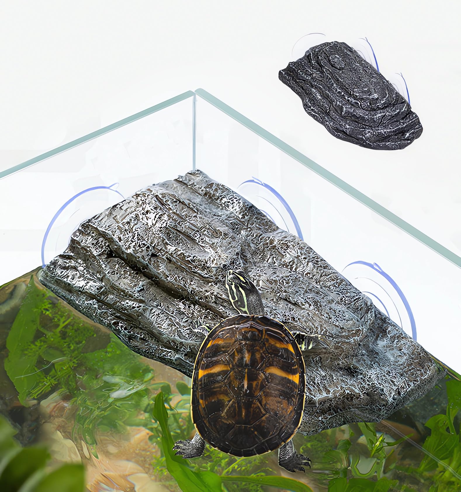 YZHZOM turtle basking platform with suction cups for stable sunbathing