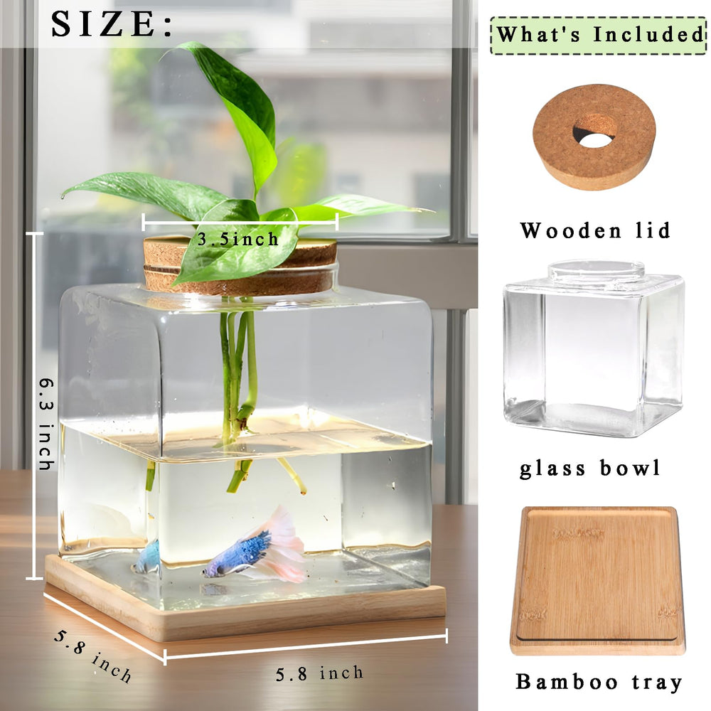 Zaborik bamboo stand terrarium showcases a stylish, eco-friendly aquatic setup.