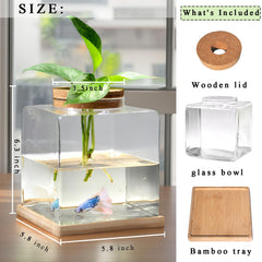 Zaborik bamboo stand terrarium showcases a stylish, eco-friendly aquatic setup.
