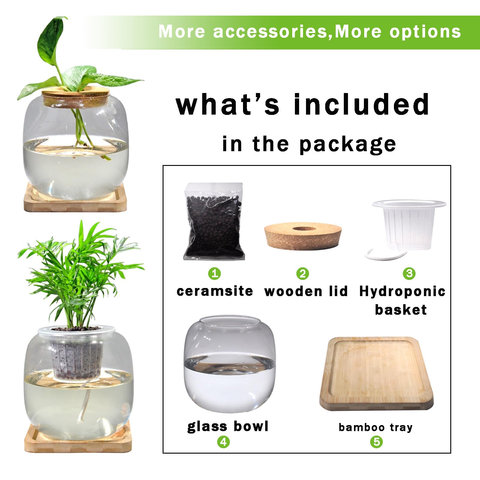 Zaborik Betta Bowl with bamboo stand offers stable, stylish display.