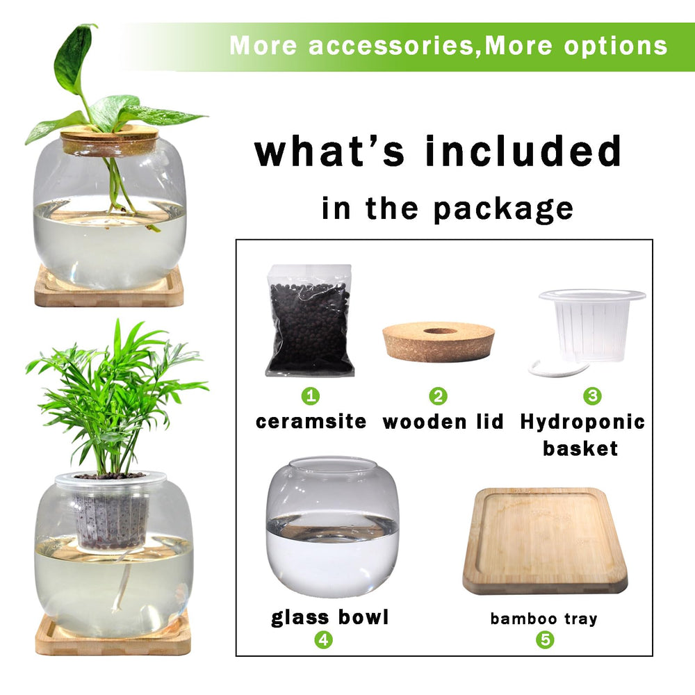 Zaborik Betta Bowl with bamboo stand offers stable, stylish display.