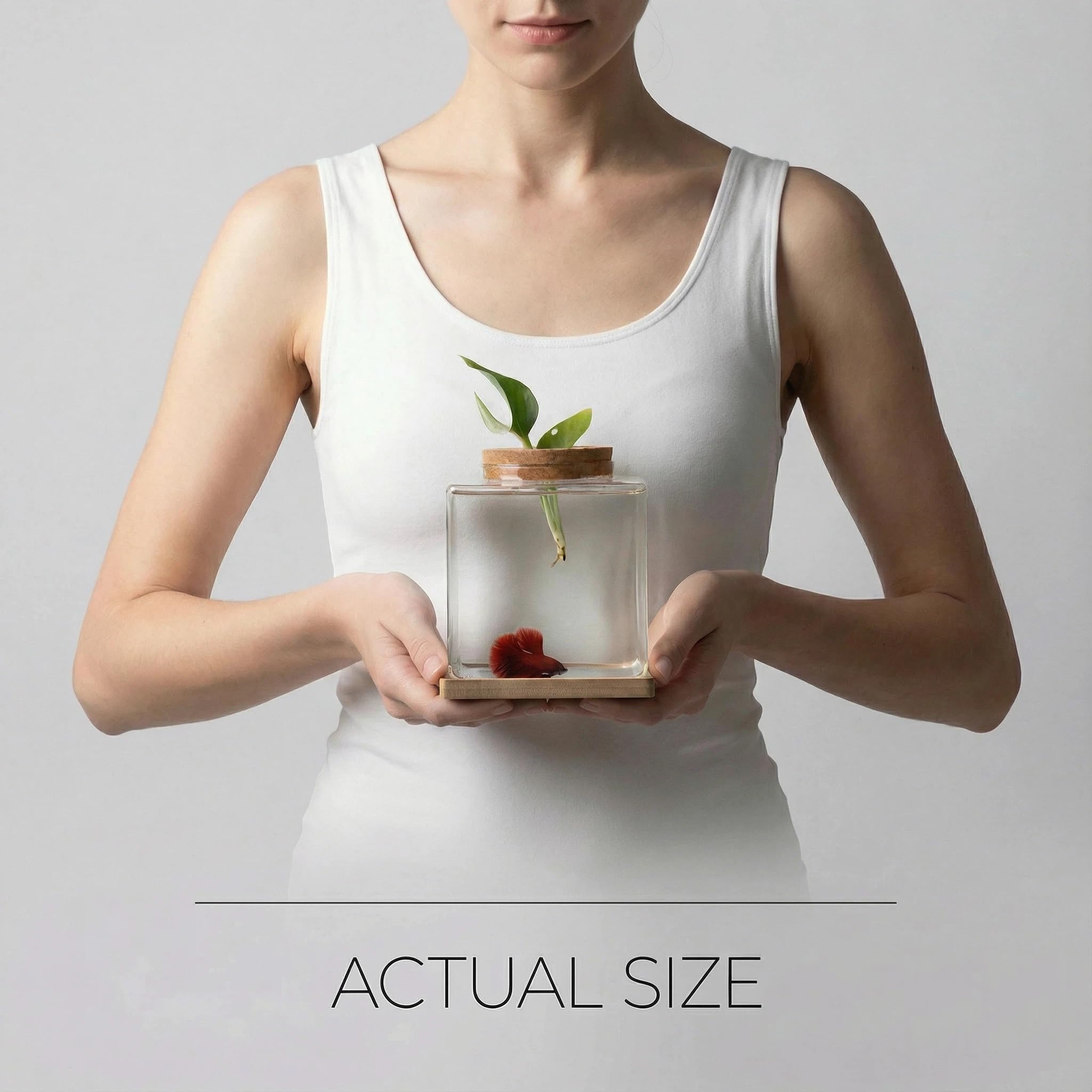 Zaborik square glass Betta tank highlights compact design for desk display.