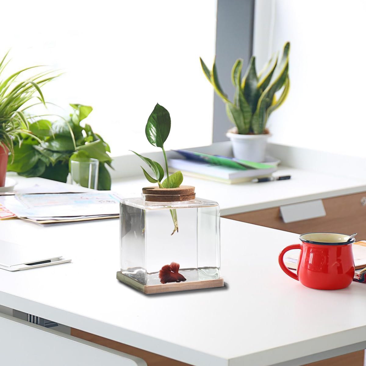 Zaborik ultra-clear white glass bowl lets you watch fish and plant growth.