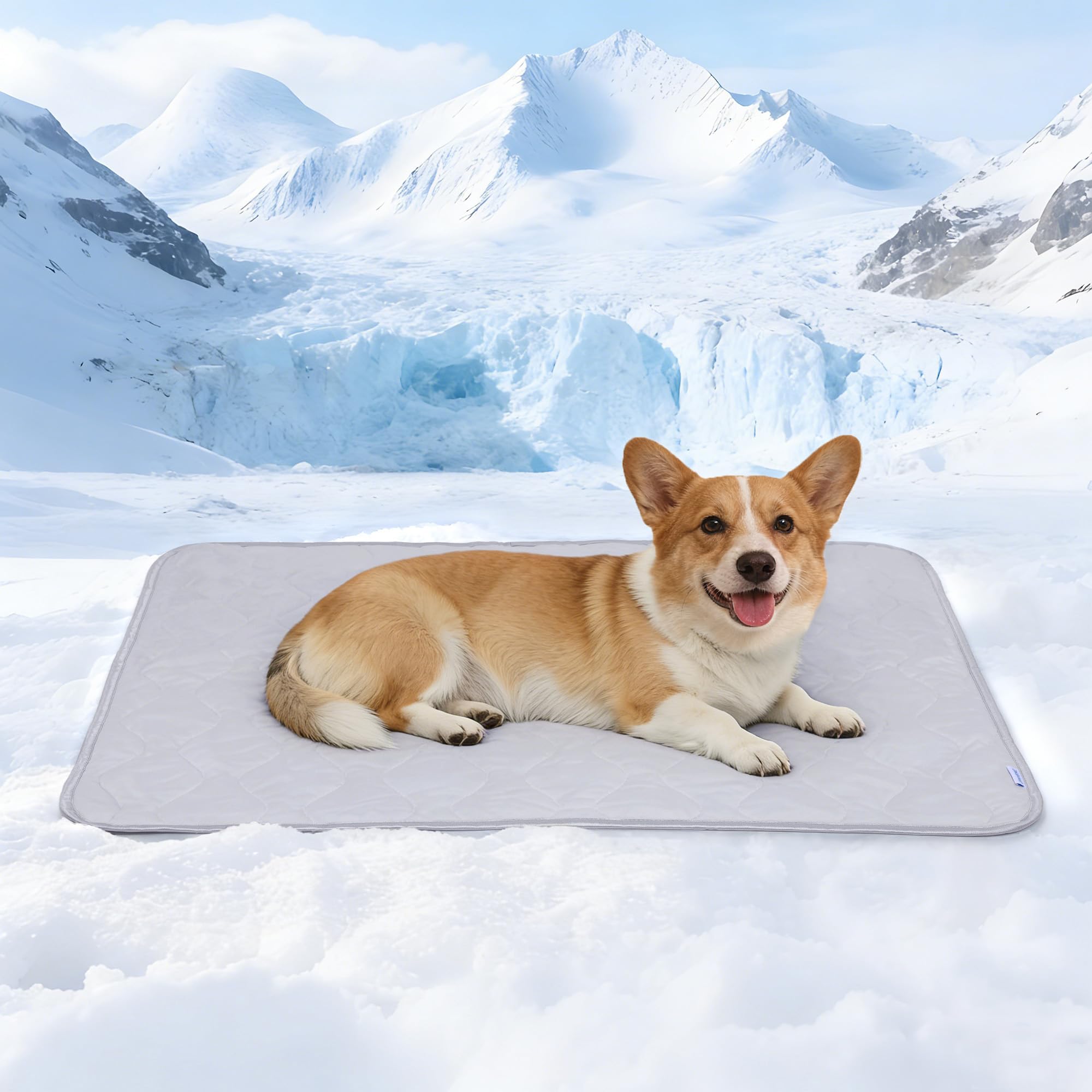 ZAKAPAWS cooling blanket on dog for instant cool relief