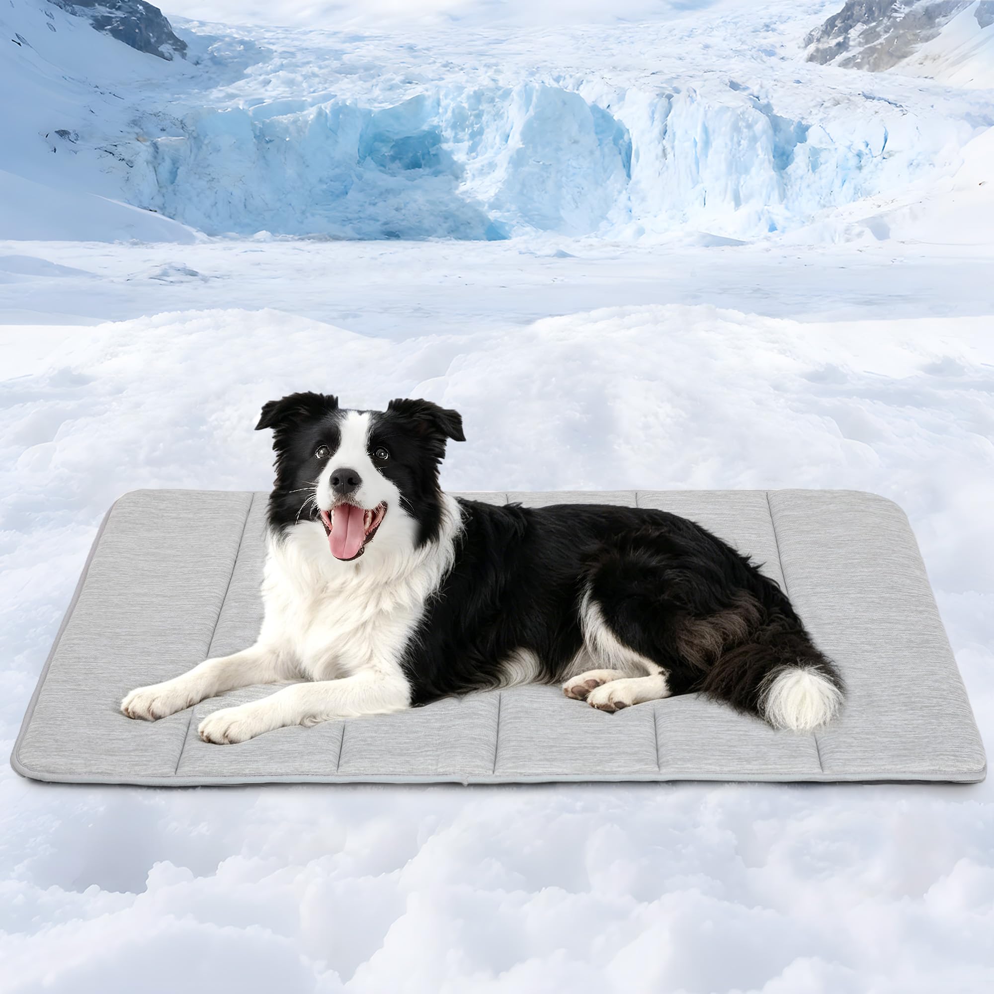 ZAKAPAWS cooling dog mat shows quick-cool surface after active play