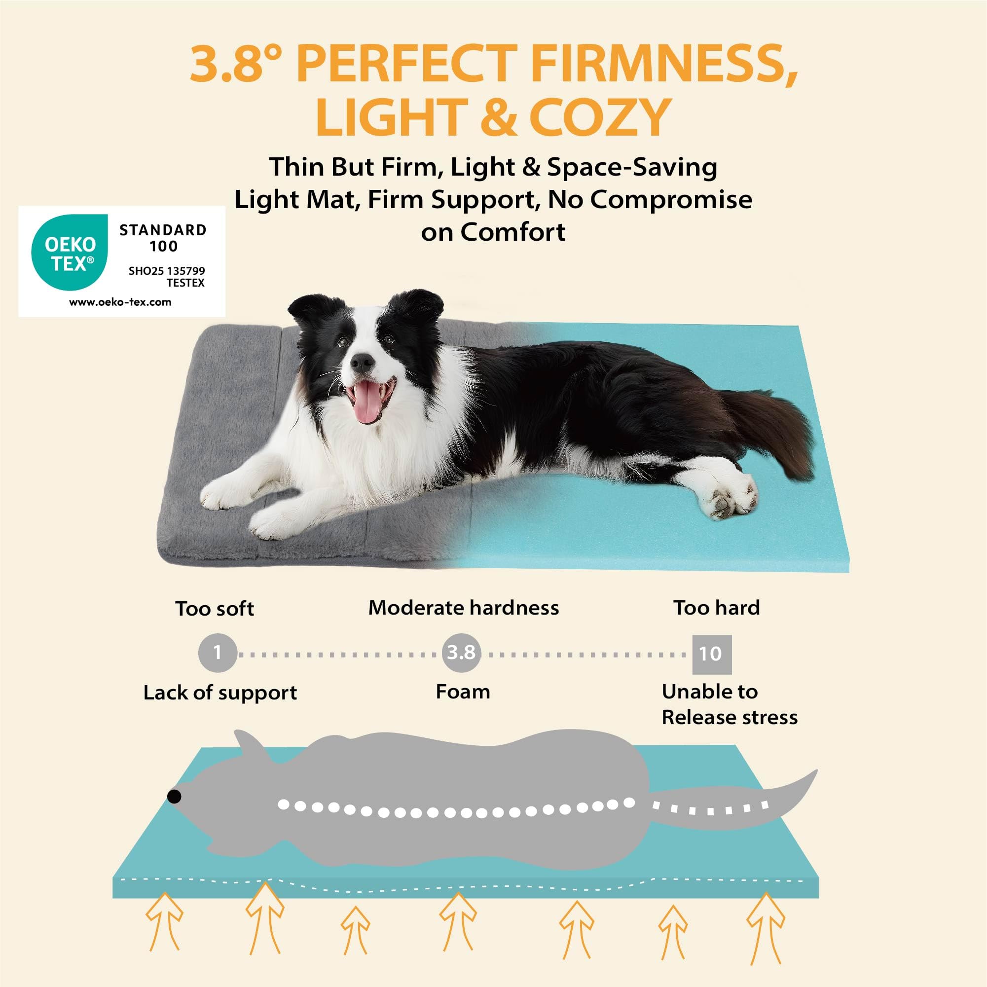 ZAKAPAWS machine washable dog bed for easy cleanup after muddy outings