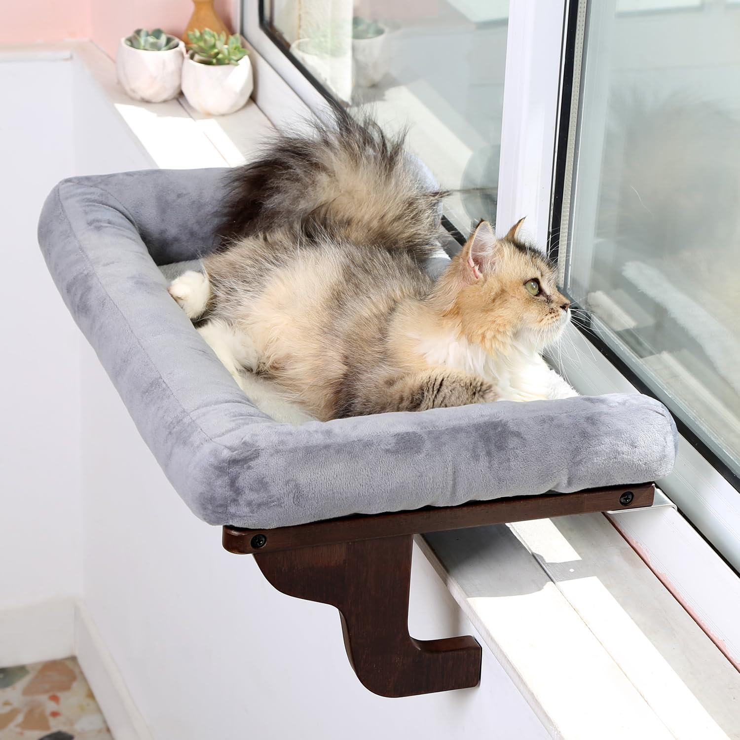 Zakkart cat window perch with bolster provides a cozy elevated view for curious cats.