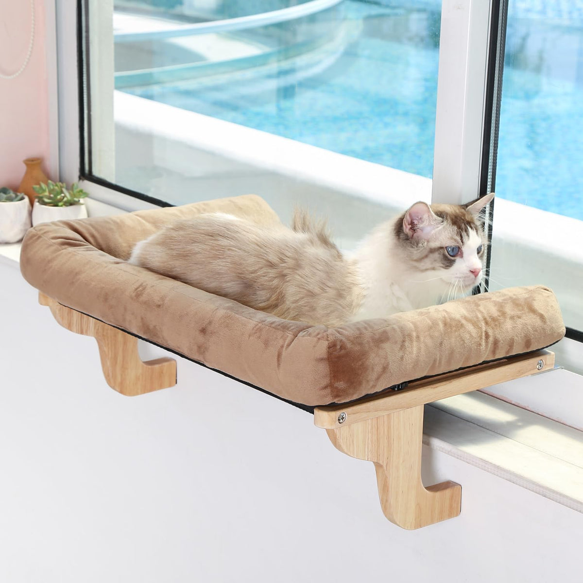 Zakkart cat perch on a window sill with wood frame provides a cozy lookout