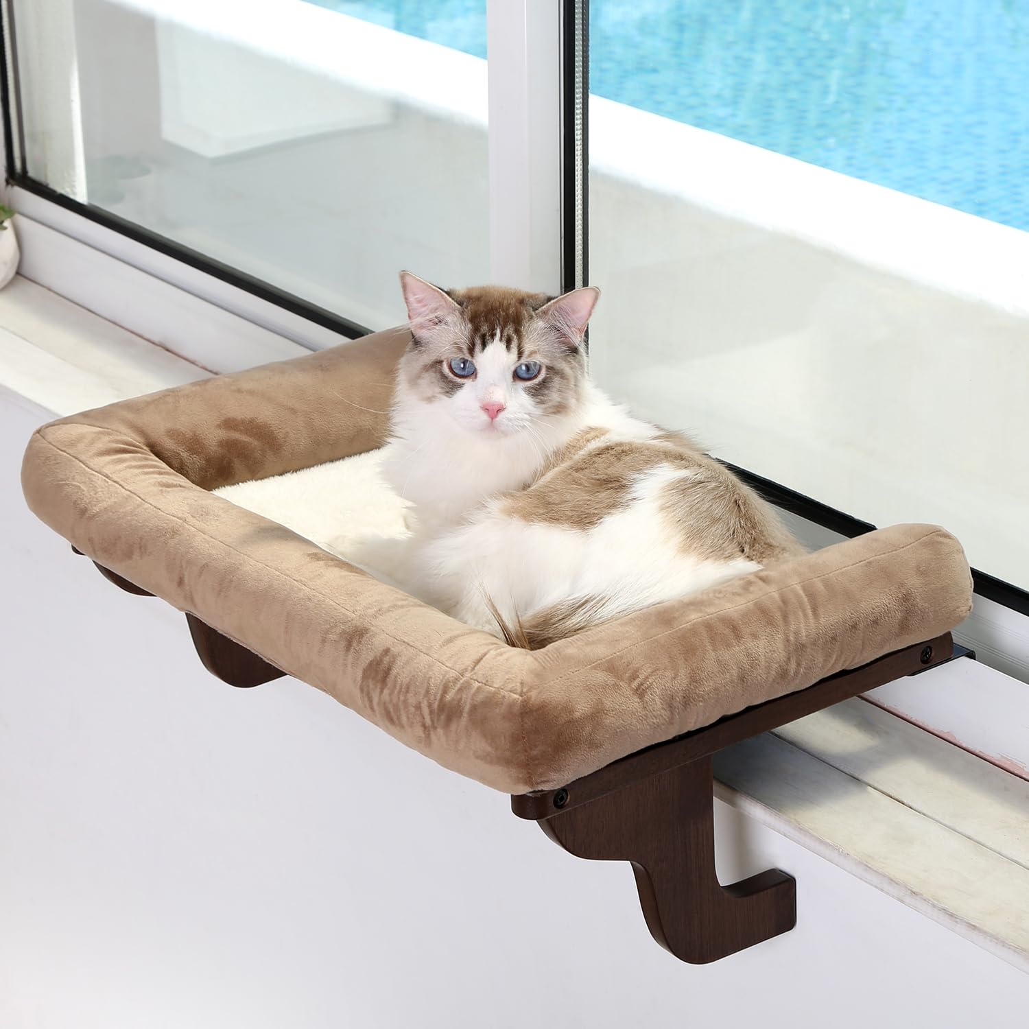 Zakkart cat window perch with bolster, cozy sunbeam lounging for cats.