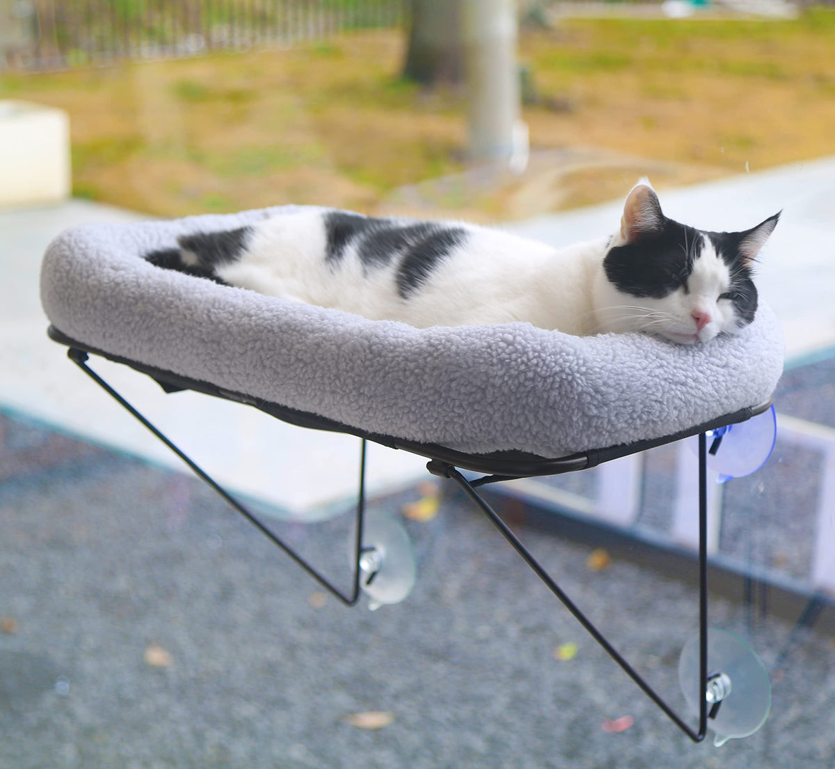 Zakkart Cat Window Perch shows sturdy iron frame for safe support.