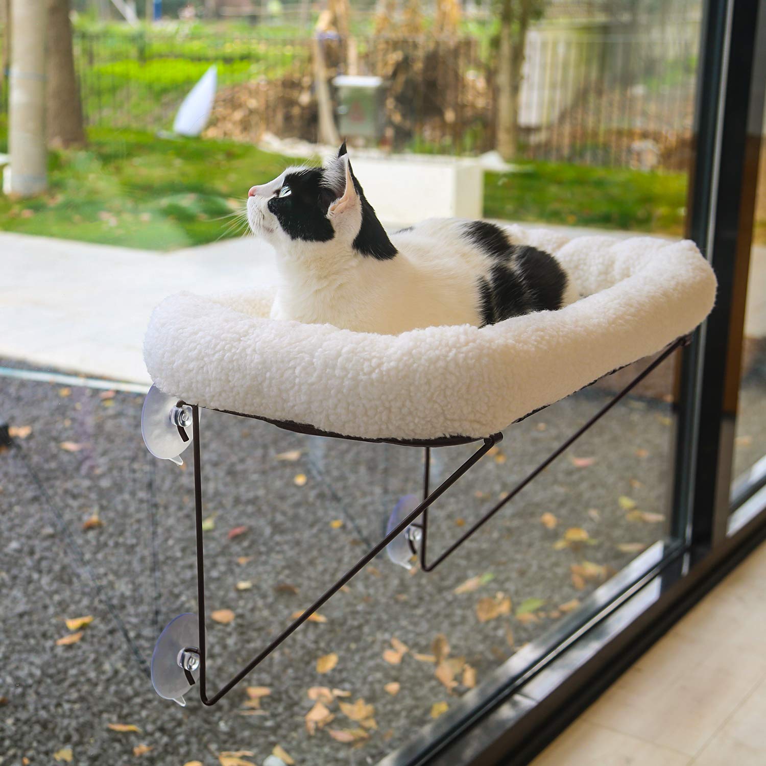Zakkart cat window perch with metal support offers wobble-free stability for busy climbers.