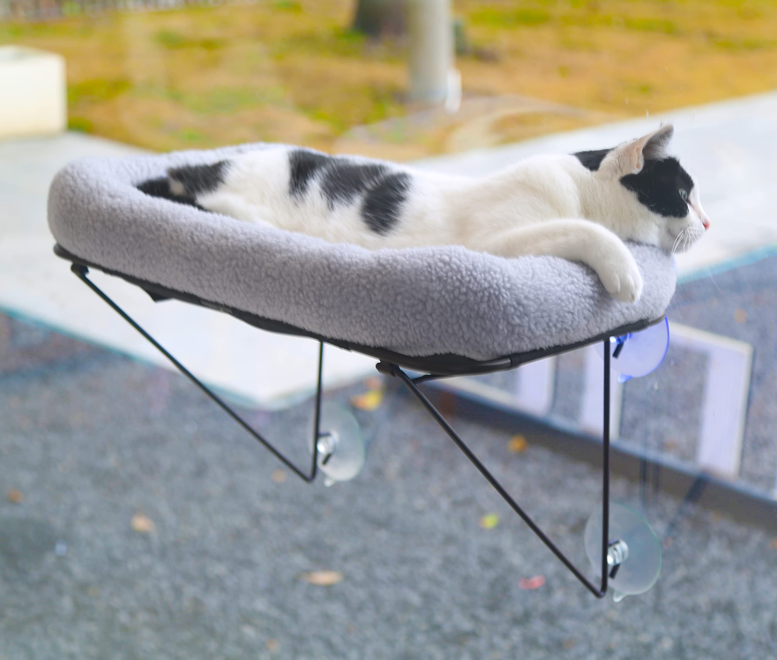 Zakkart iron perch supports up to 40 lbs for larger cats.