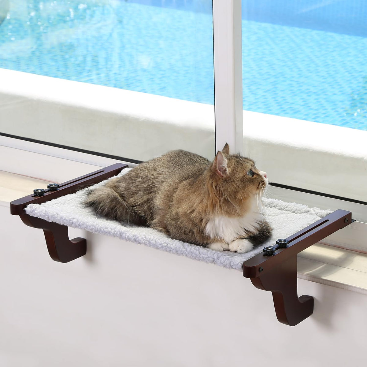 Zakkart Easy Seat cat perch in dark wood and gray bed, front view for cozy window lounging
