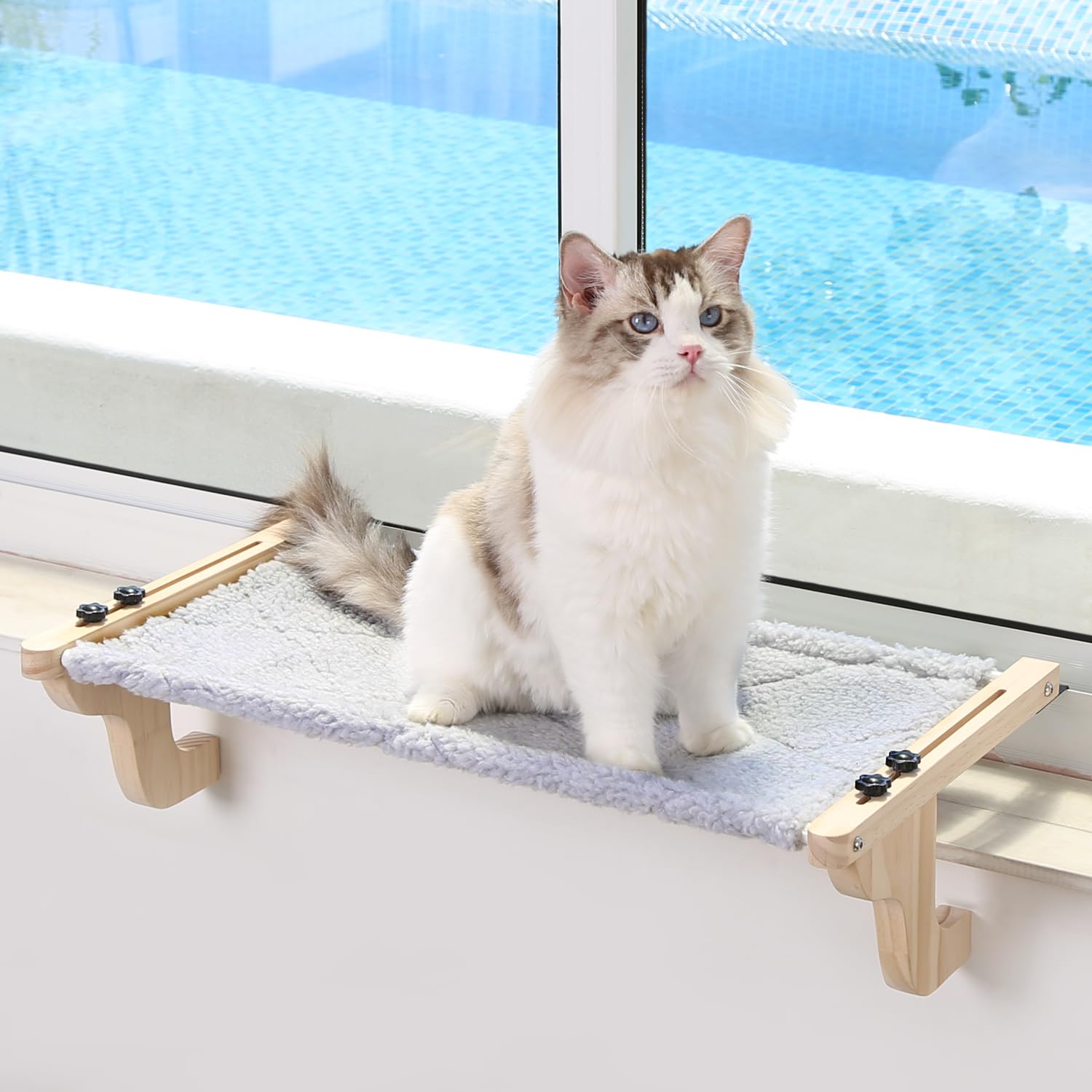 Zakkart Easy Seat window perch in natural wood framing for sturdy lounging