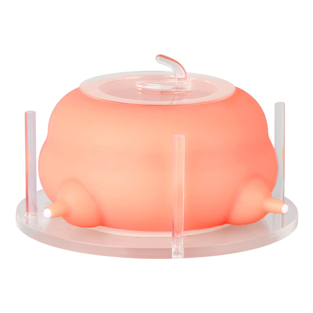 ZALBYUY 4-nipples silicone puppy feeder offers secure feeding for newborns.