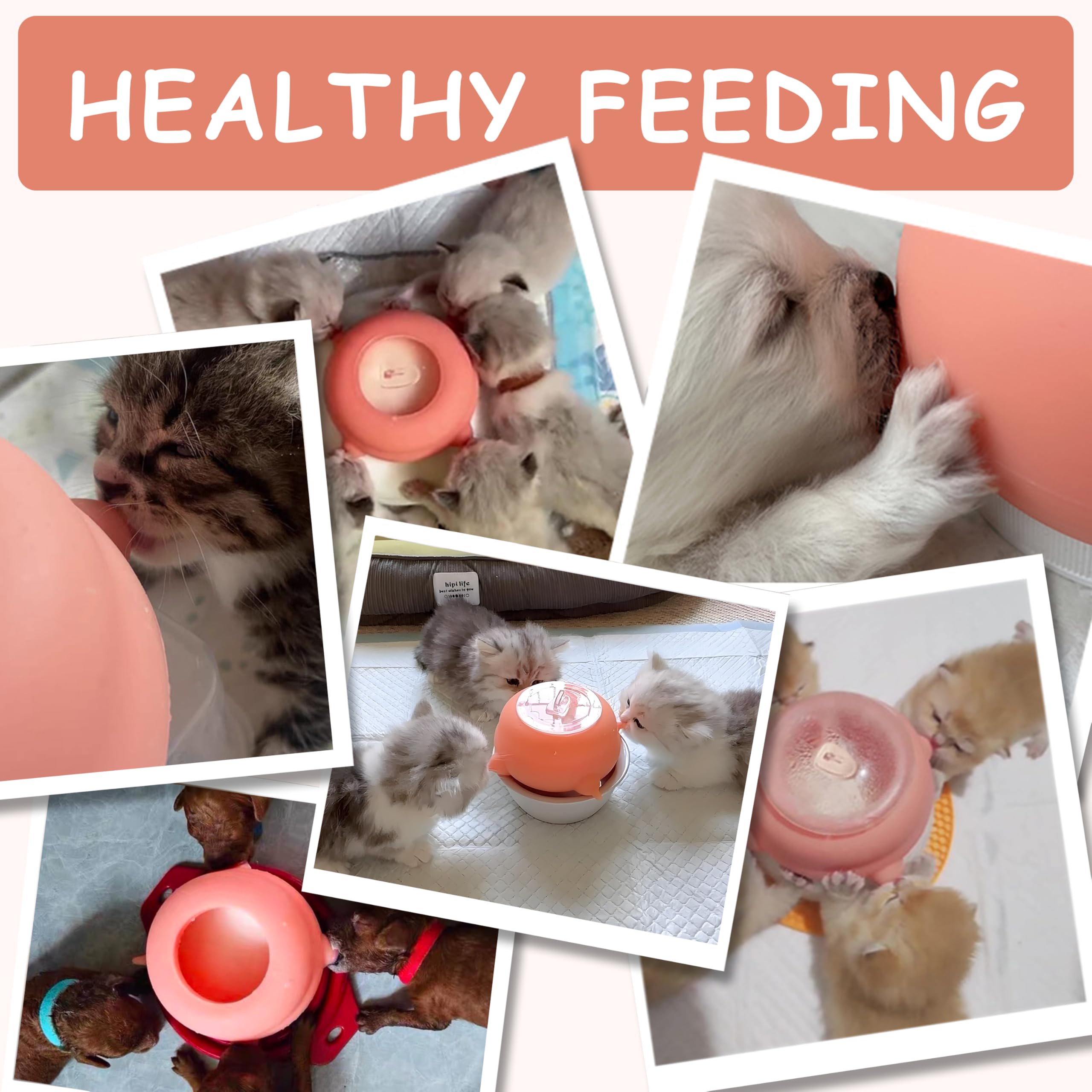 Easy to clean and reusable feeding station.