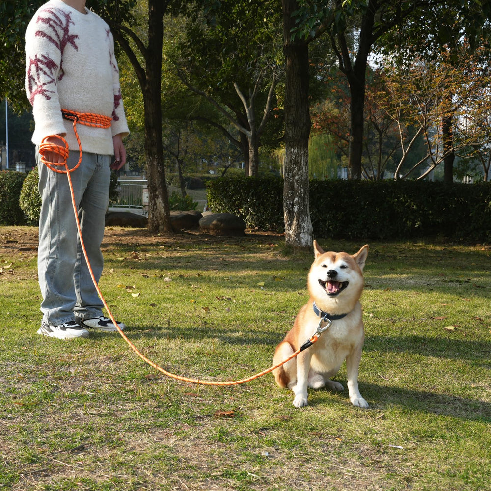ZALER screw-lock carabiner on leash enhances secure tie-out and safer handling.