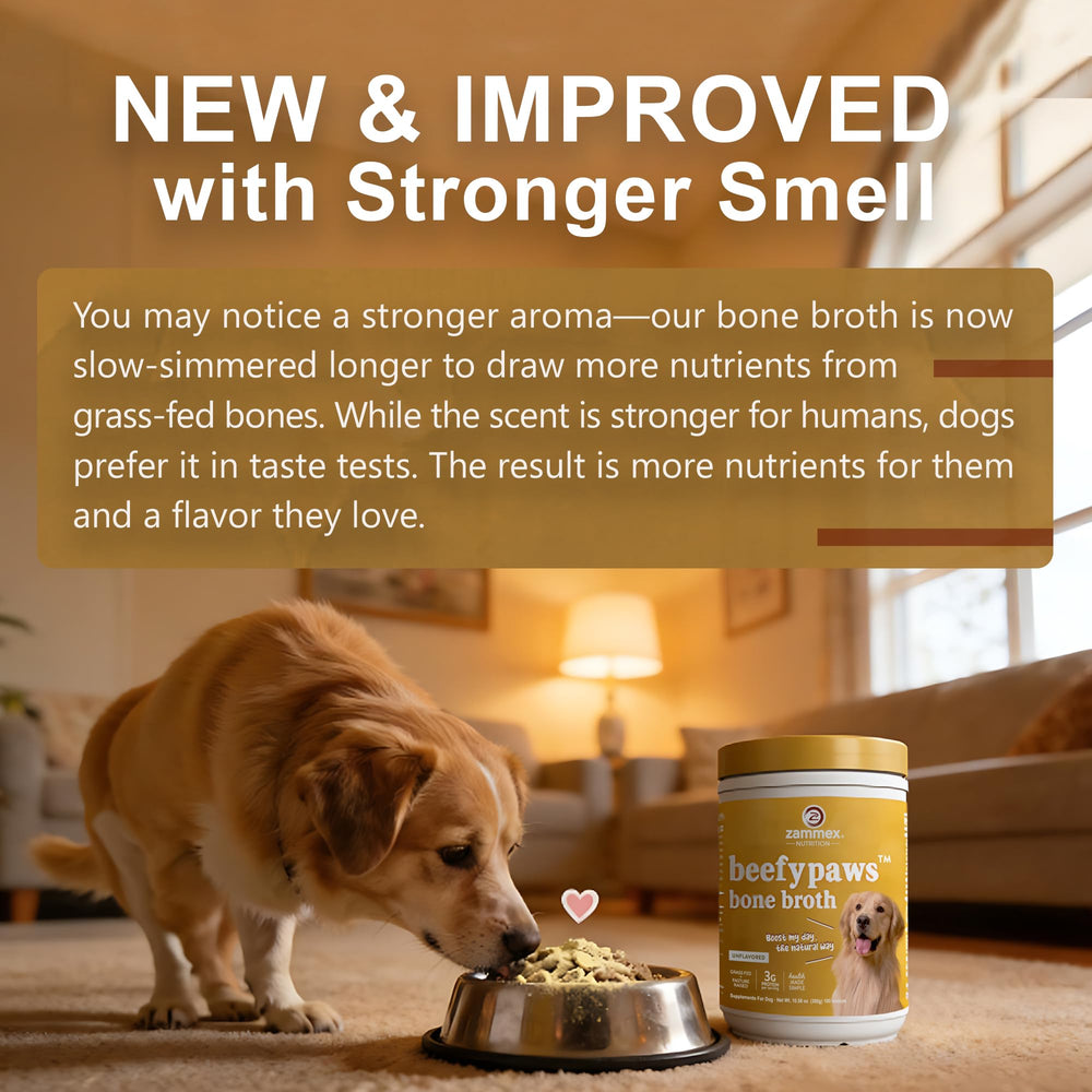 Zammex Bone Broth Powder scoop highlights easy portioning to boost appetite and energy.